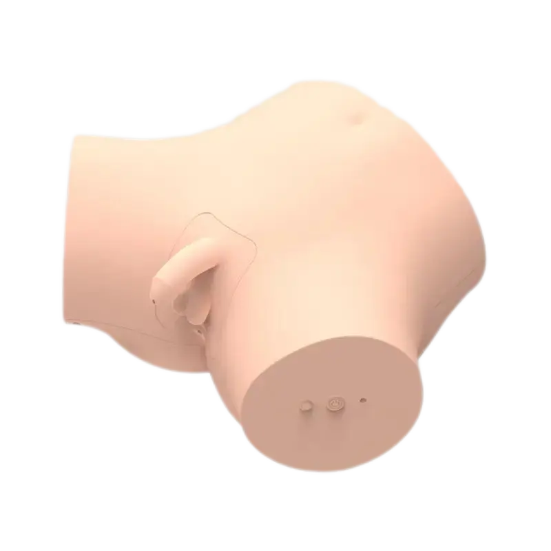Virtual reality combined training system-Male Catheterization