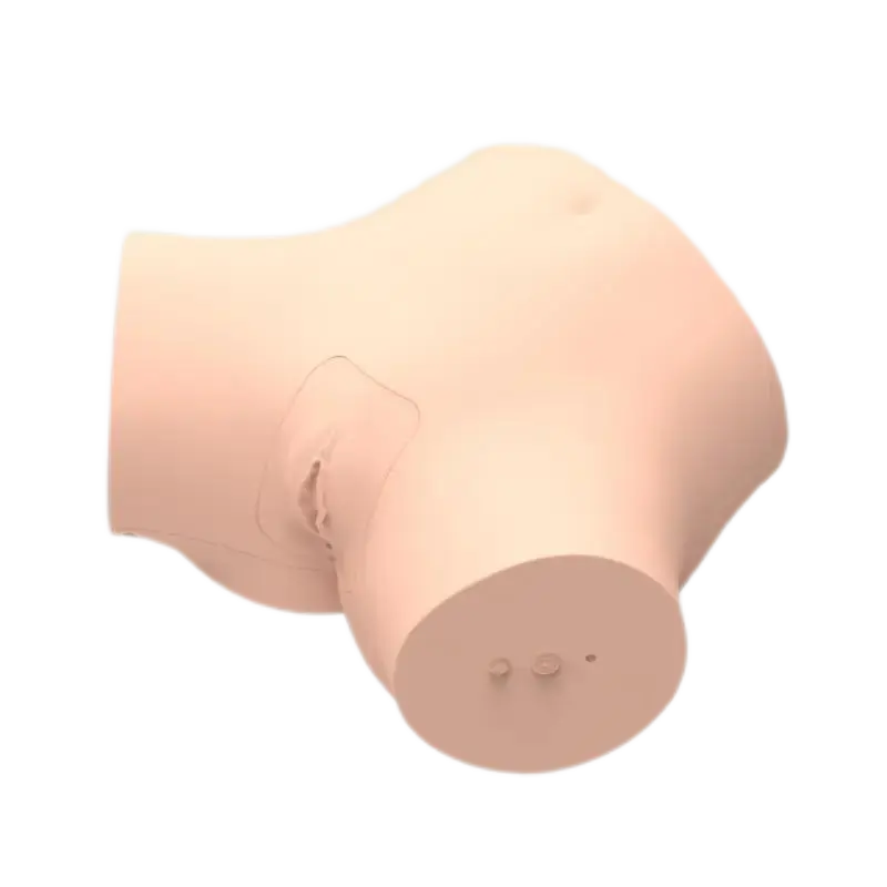 Virtual reality combined training system-Enema Administration
