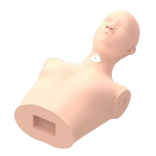 Virtual reality combined training system-Nasal feeding
